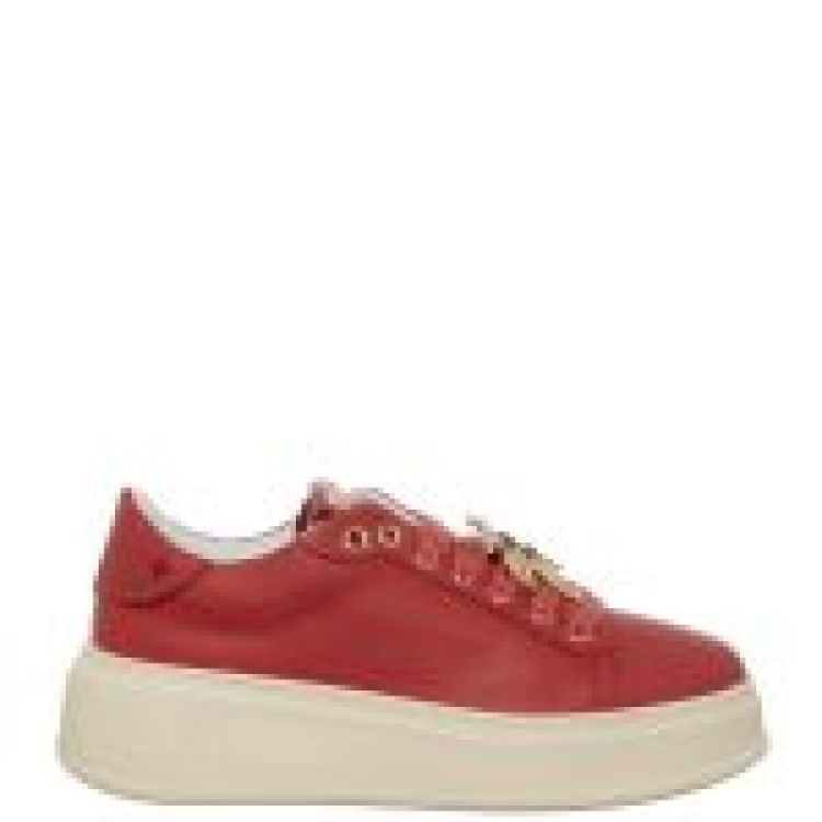 CAPRICORNO ROSSO  