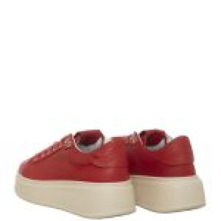 CAPRICORNO ROSSO  