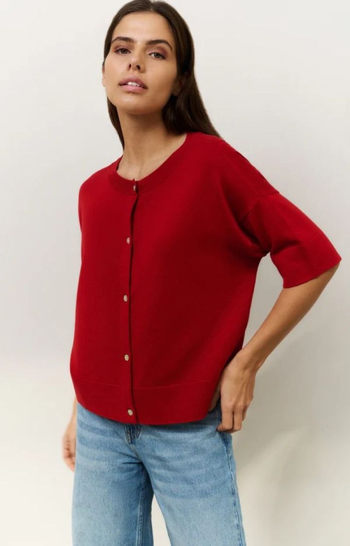 Oversized fine knitted scarlet SCARLET SAGE RE