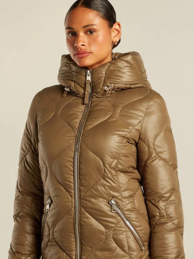 DARLA 2340 TOFFEE TOFFEE
