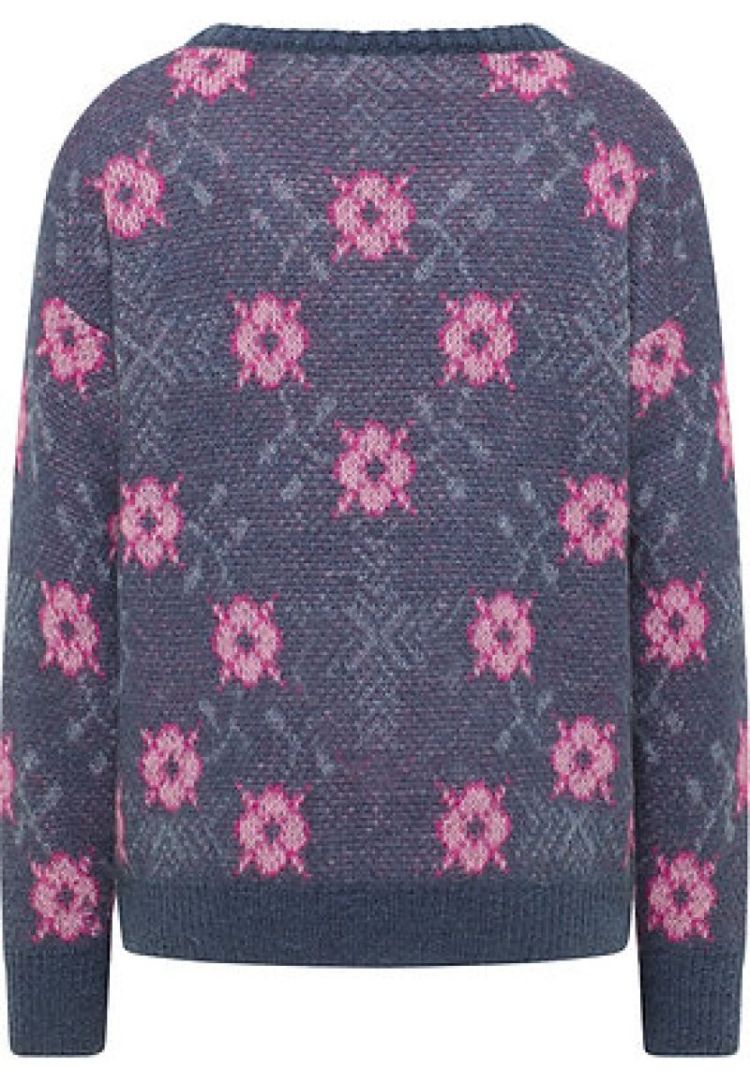 PULL GRAPHIQUE  BLEU ROSE