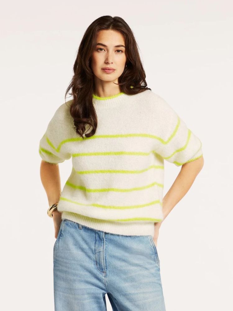 PENELOPE LIME