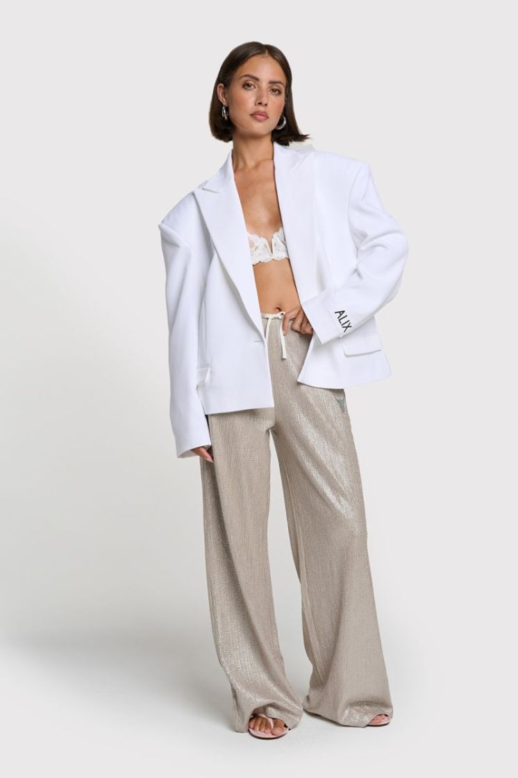  shiny pants SILVER
