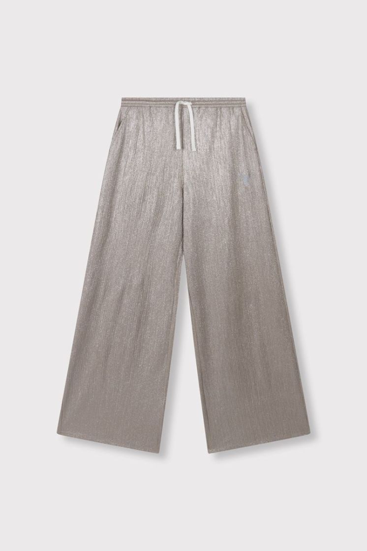  shiny pants SILVER