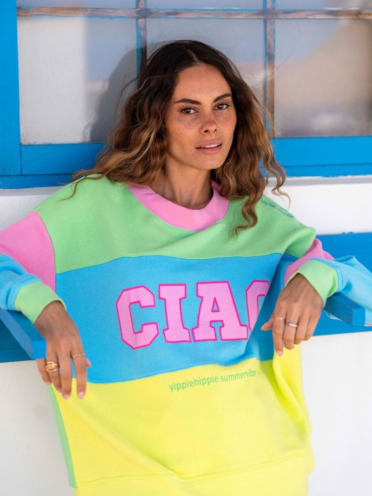 SWEAT MULTICOLOR MULTI VERT